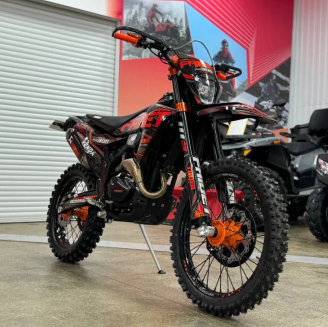 Кроссовый мотоцикл FAIDET PR300 MAX WP в Тольятти