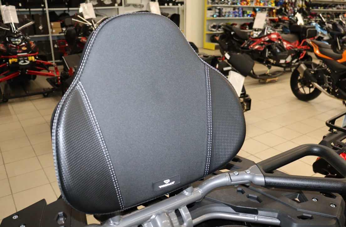 Квадроцикл PROMAX RENEGADE 300 LONG WINCH PRO (2025) в Тольятти