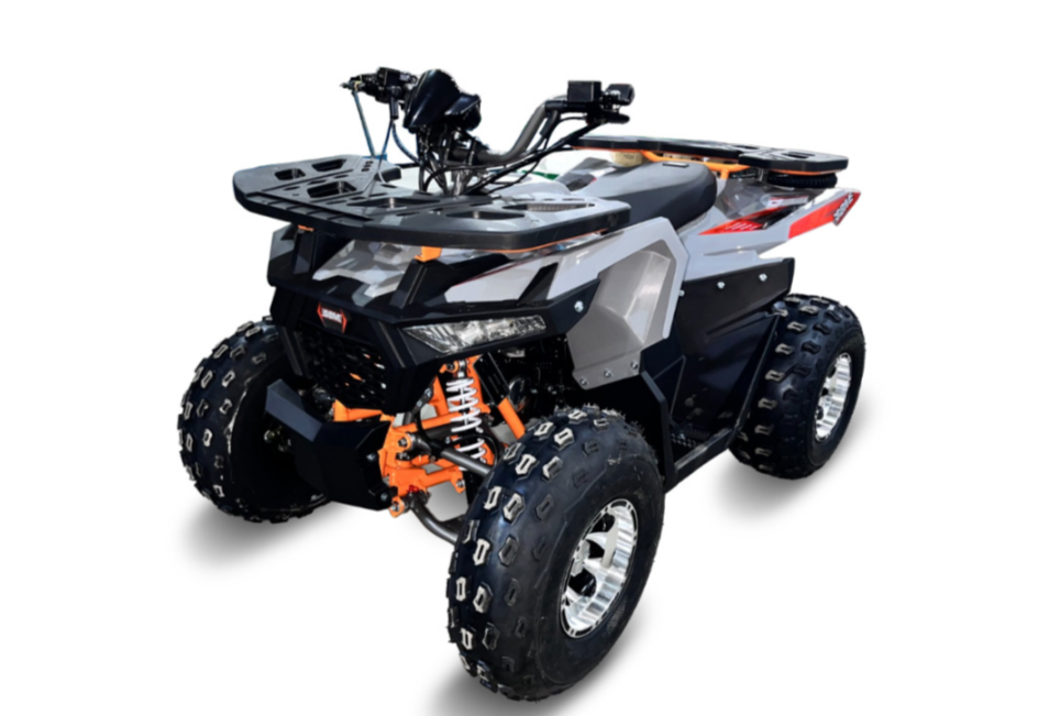 Квадроцикл GBM DAXTER 220 NEW PREMIUM в Тольятти