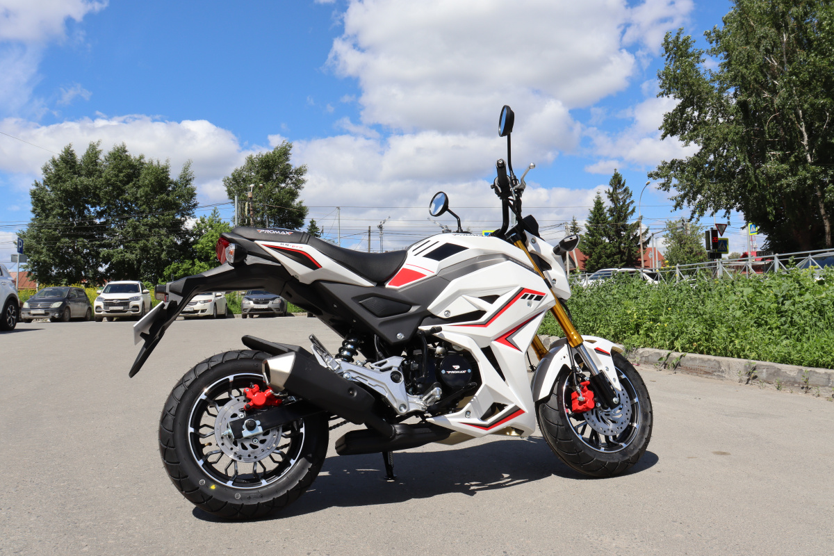 Мотоцикл PROMAX STRYKER 200(49) 2.0 в Тольятти