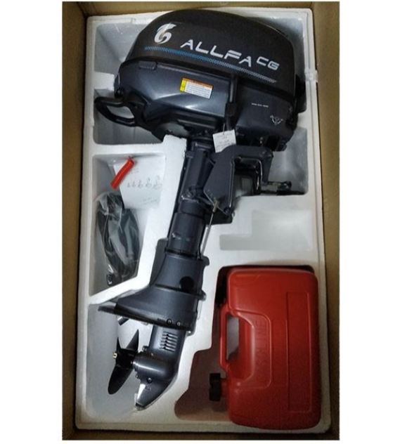 Лодочный мотор ALLFA CG F6 в Тольятти