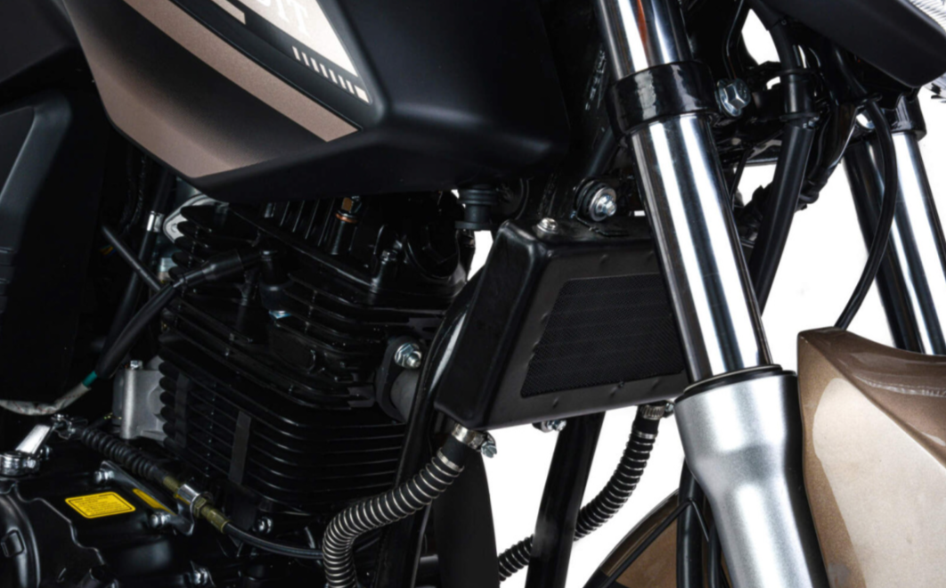 Мотоцикл MOTOLAND (МОТОЛЕНД) 300 BANDIT в Тольятти