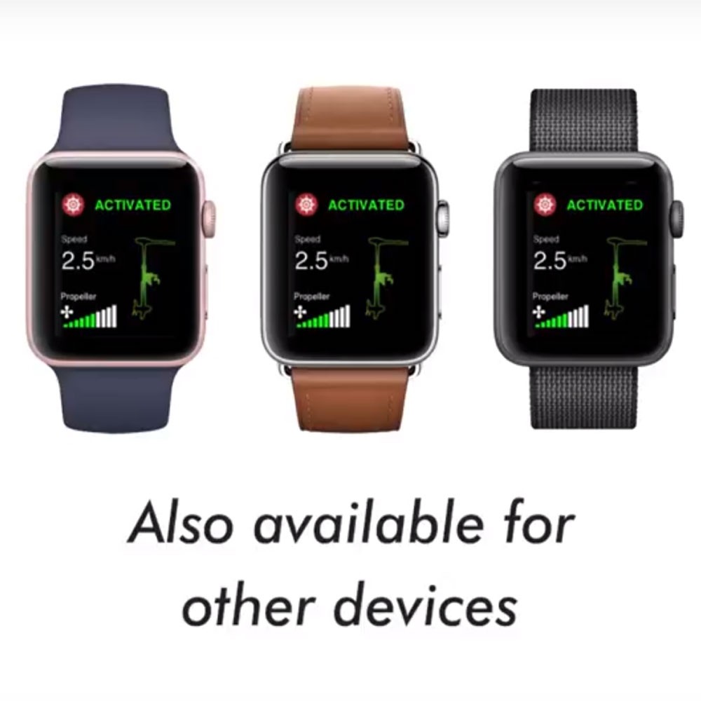 Лодочный электромотор якорь Haswing Cayman B, GPS, 12V, 55Lbs, нога 152 мм в Тольятти