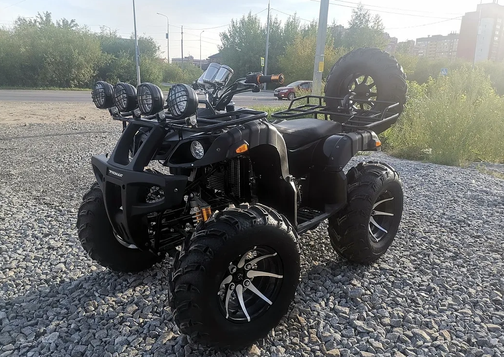 Квадроцикл PROMAX LEO 300 Max (кардан) в Тольятти