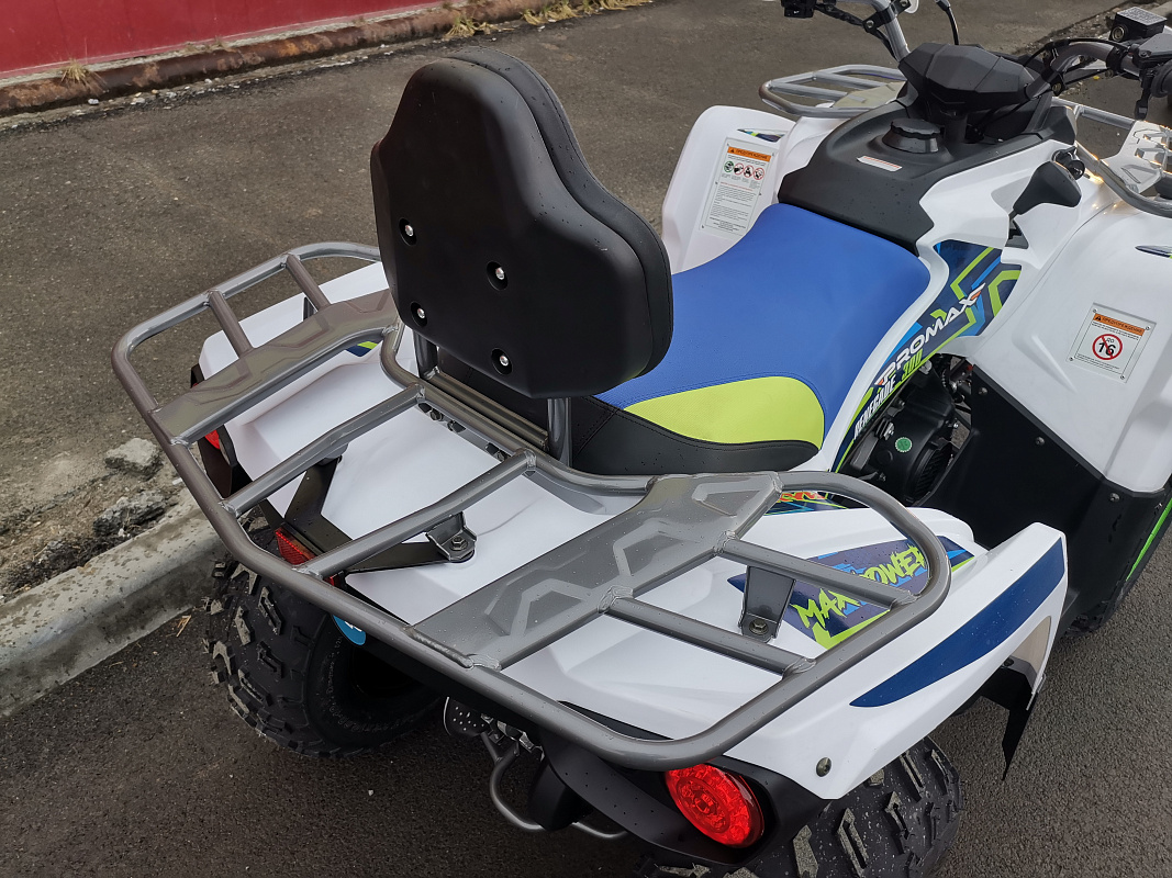 Квадроцикл PROMAX RENEGADE 280 LUX (2025) в Тольятти
