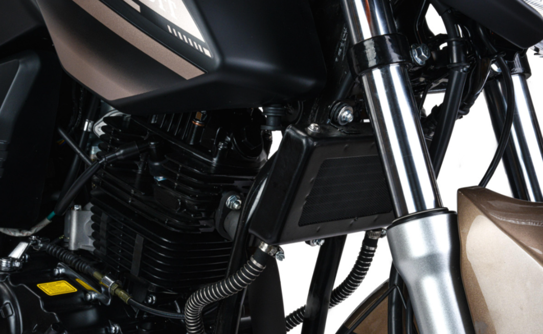 Мотоцикл MOTOLAND (МОТОЛЕНД) 300 BANDIT в Тольятти