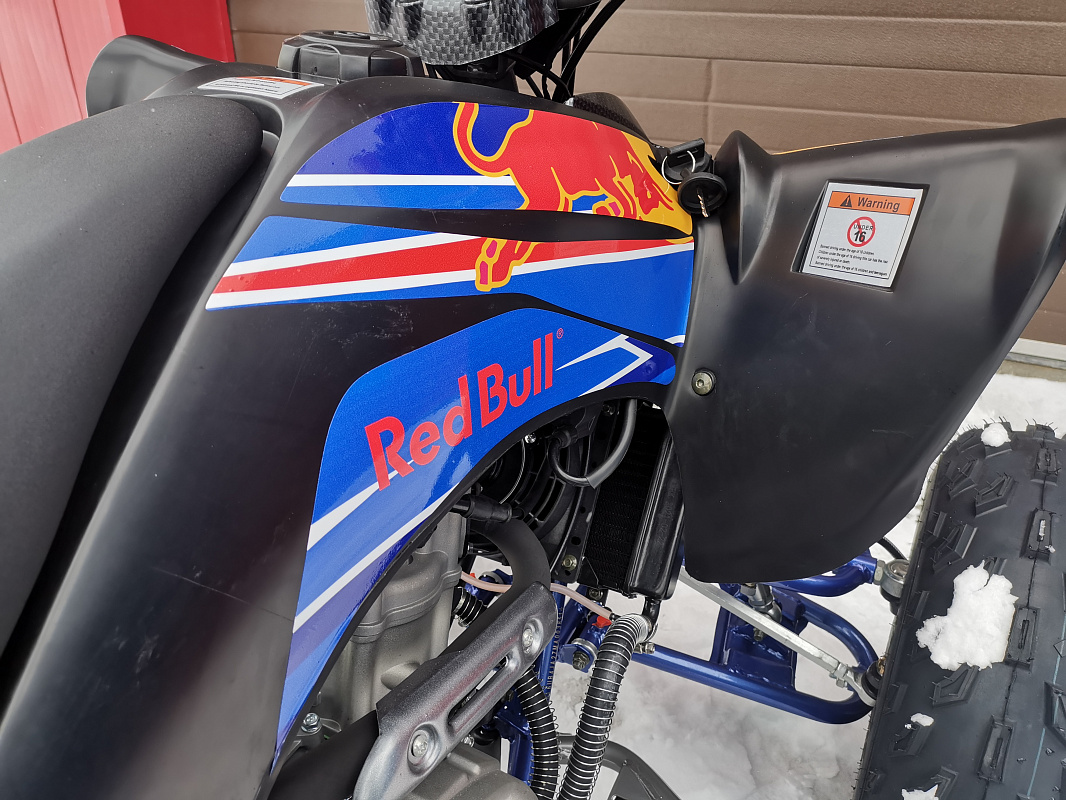 Квадроцикл PROMAX RAPTOR 300 NEW RedBull в Тольятти