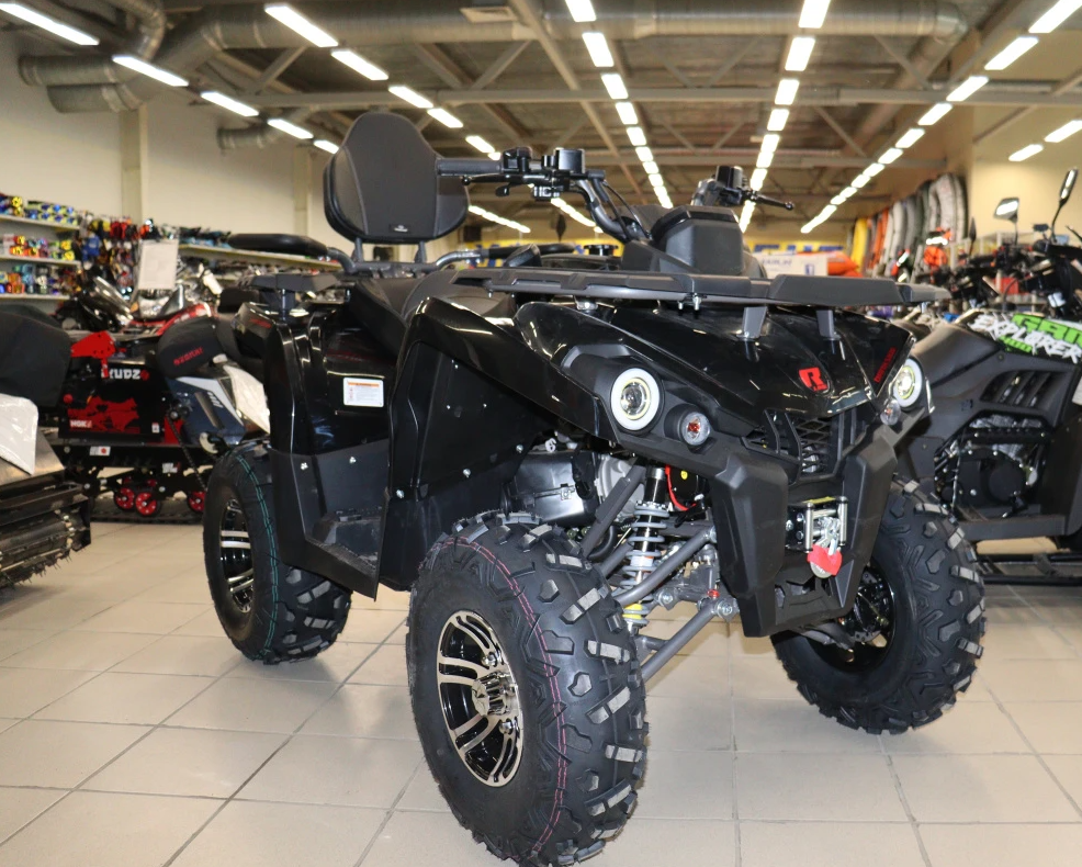 Квадроцикл PROMAX RENEGADE 300 LONG WINCH PRO (2025) в Тольятти
