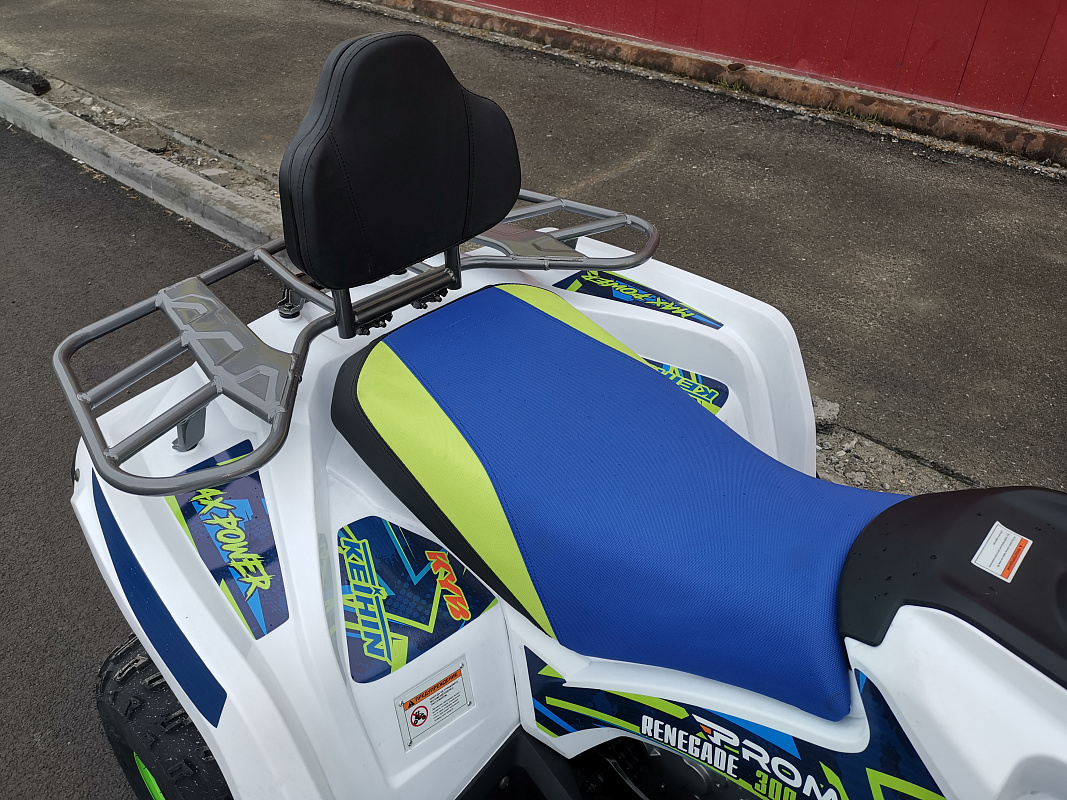 Квадроцикл PROMAX RENEGADE 280 LUX (2025) в Тольятти