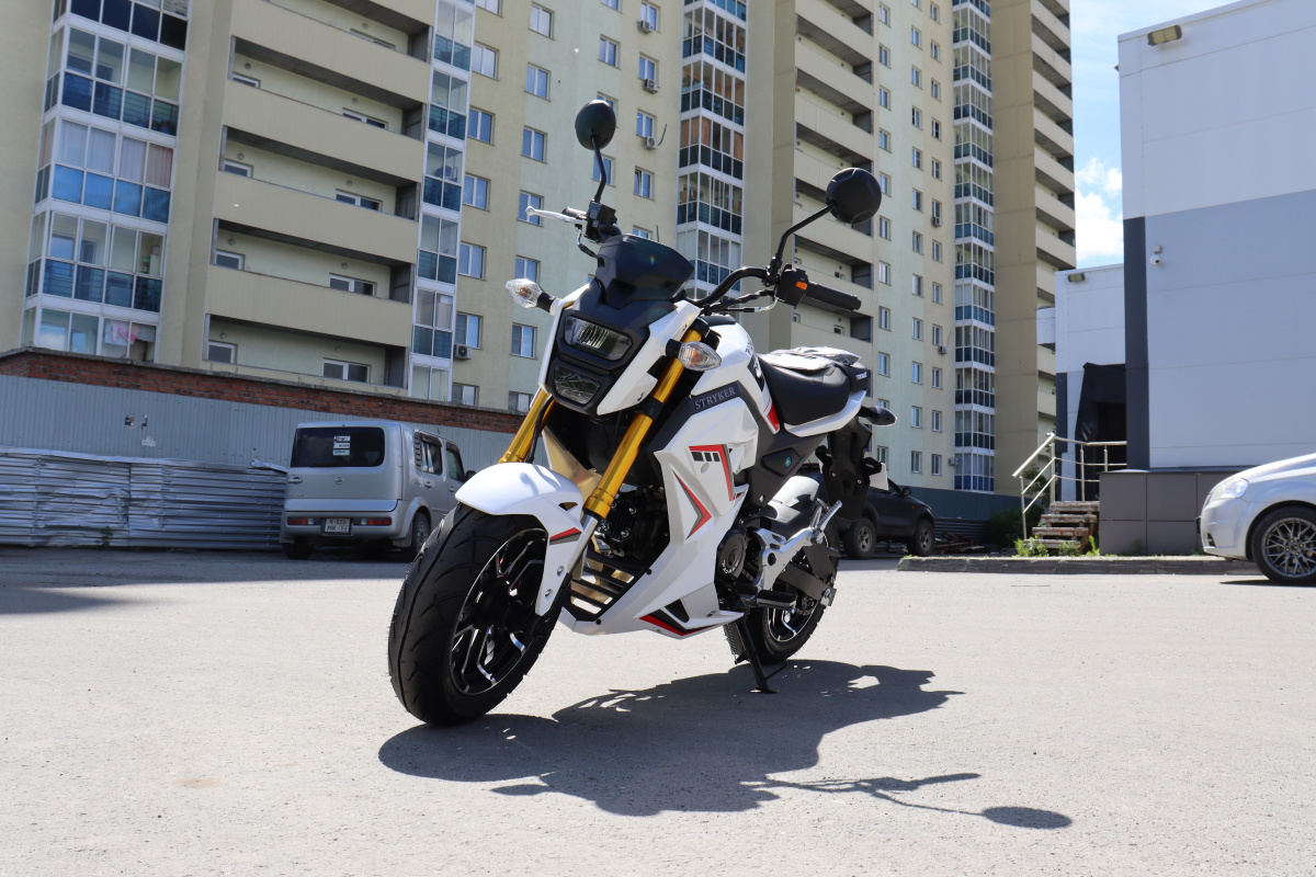 Мотоцикл PROMAX STRYKER 200(49) 2.0 в Тольятти