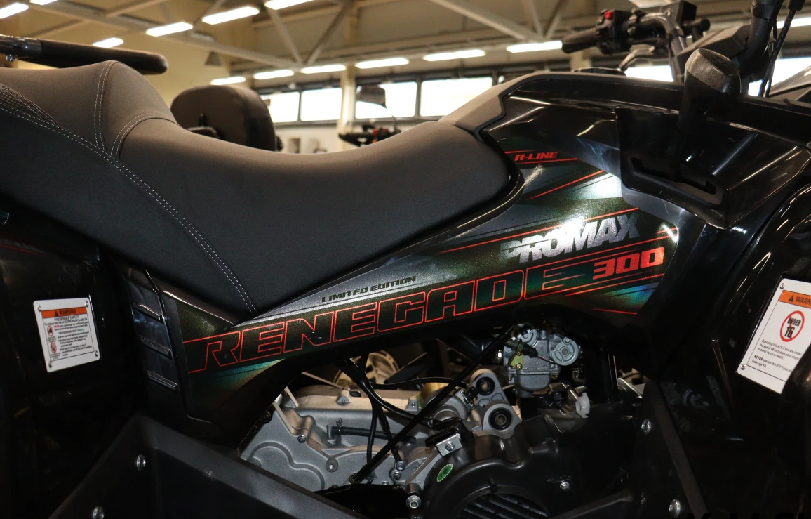 Квадроцикл PROMAX RENEGADE 300 LONG WINCH PRO (2025) в Тольятти