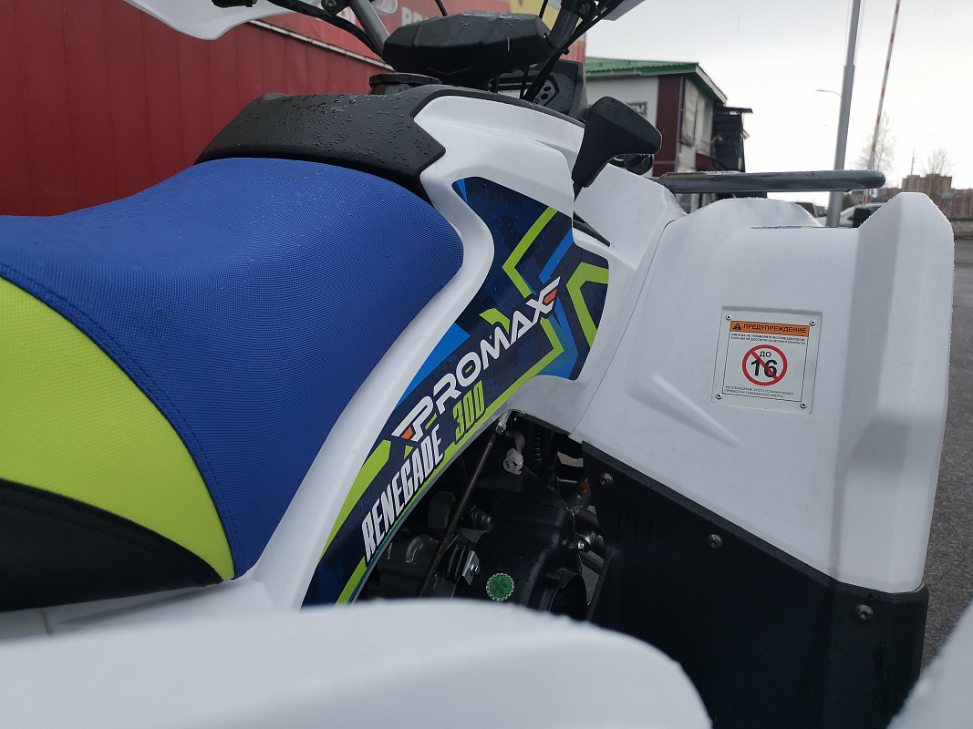 Квадроцикл PROMAX RENEGADE 280 LUX (2025) в Тольятти