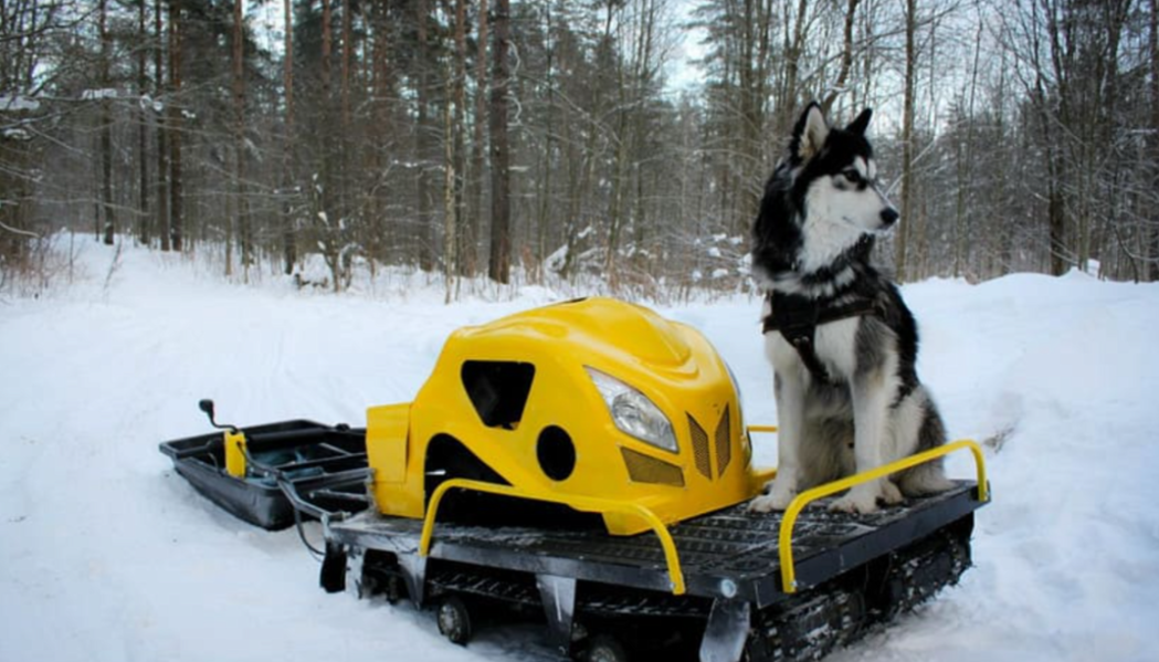Мотобуксировщик LEBEDEV MOTORS ВОЛКОДАВ POWER V13 в Тольятти