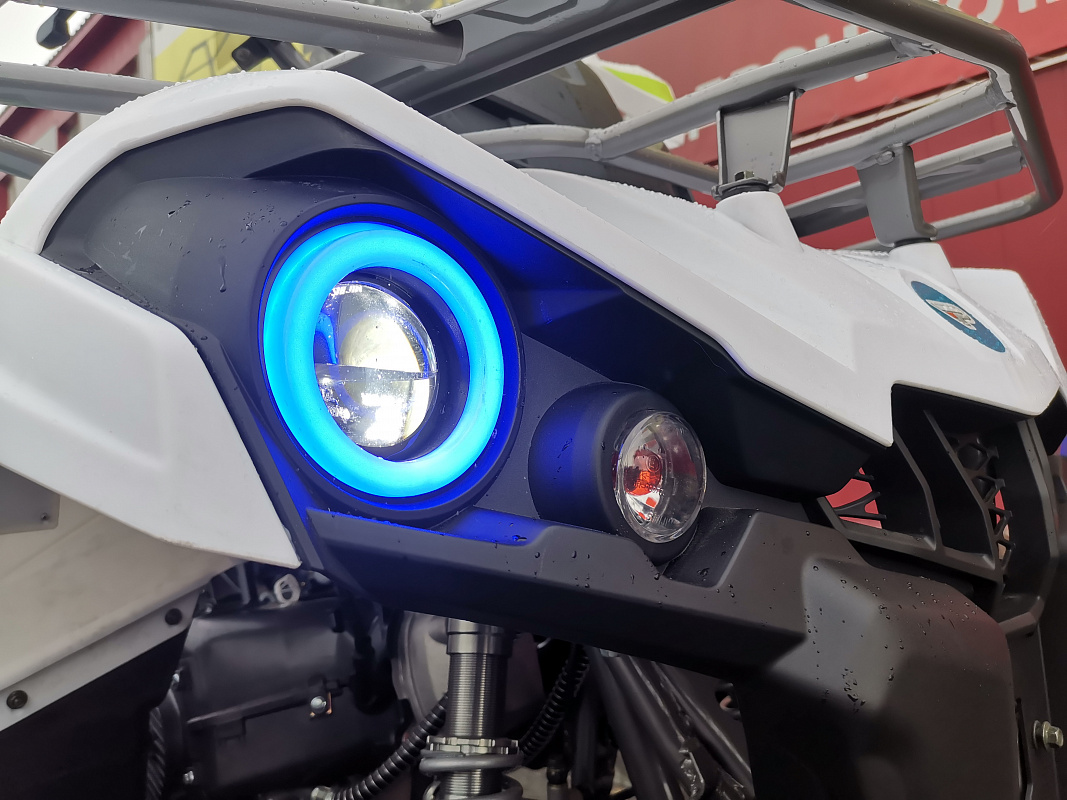 Квадроцикл PROMAX RENEGADE 280 LUX (2025) в Тольятти