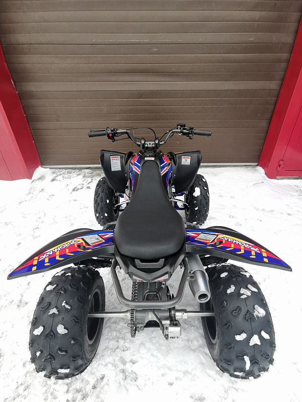 Квадроцикл PROMAX RAPTOR 300 NEW RedBull в Тольятти