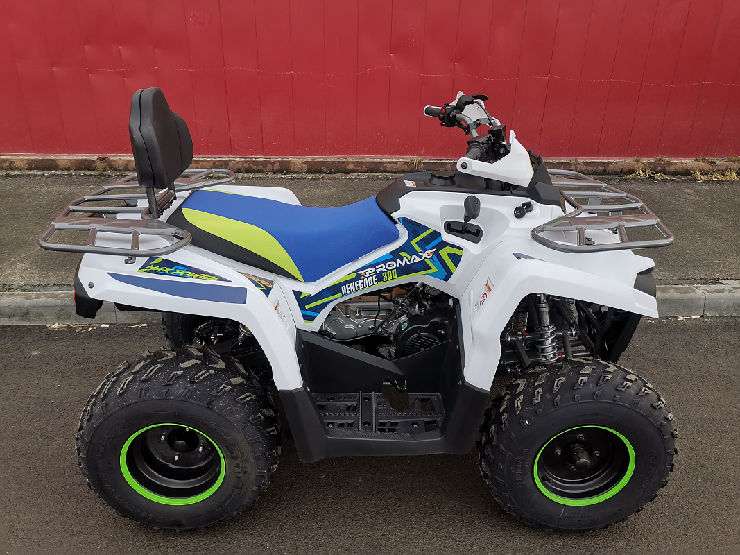 Квадроцикл PROMAX RENEGADE 280 LUX (2025) в Тольятти