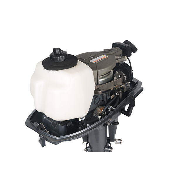 ЛОДОЧНЫЙ МОТОР ALLFA CG T5 в Тольятти