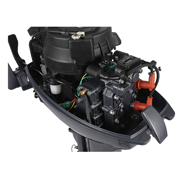 ЛОДОЧНЫЙ МОТОР ALLFA CG Т9,9 в Тольятти