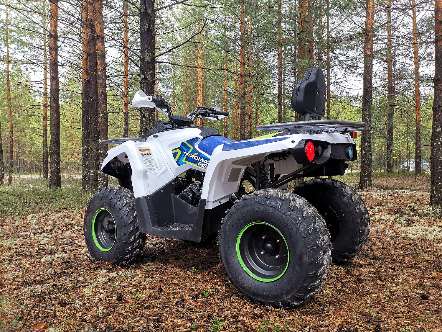 Квадроцикл PROMAX RENEGADE 280 (2025) в Тольятти
