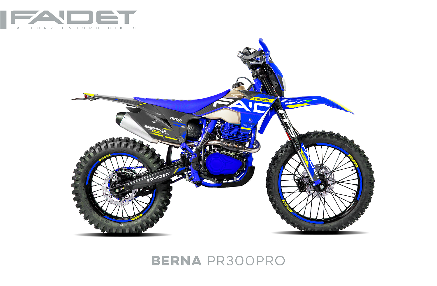 Кроссовый мотоцикл FAIDET BERNA PR300-PRO FPS в Тольятти