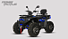 Квадроцикл PROMAX TAURUS 300 MAX-PRO LONG в Тольятти