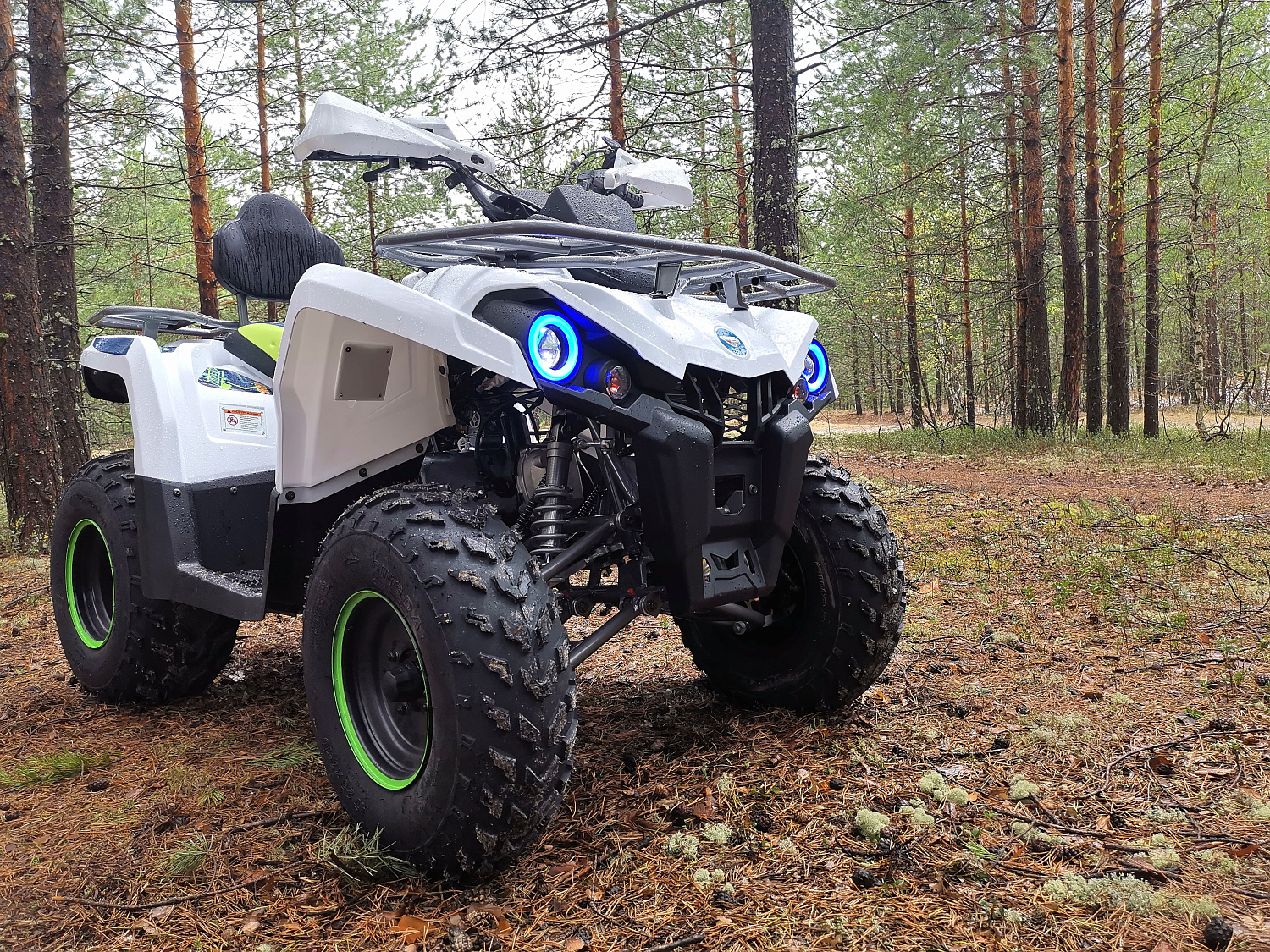 Квадроцикл PROMAX RENEGADE 280 (2025) в Тольятти