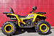 Квадроцикл PROMAX STORM 280 LUX в Тольятти
