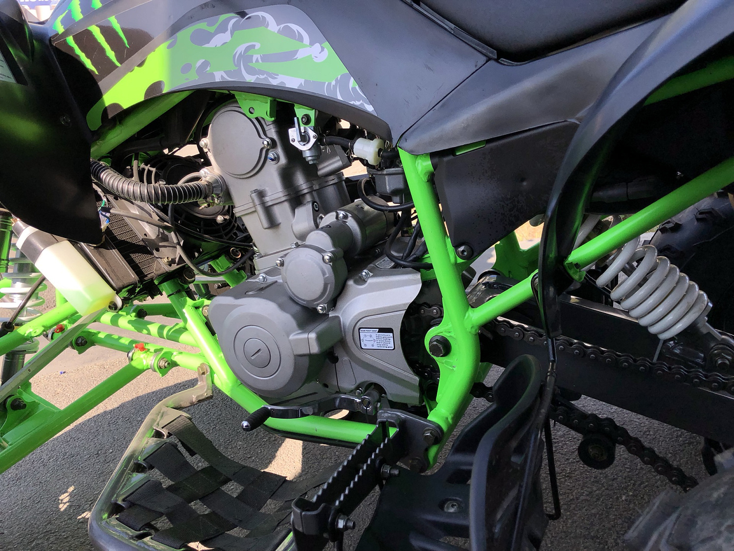 Квадроцикл PROMAX RAPTOR 300 NEW Monster в Тольятти