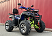  Квадроцикл PROMAX ATV 250 MAX (2025) в Тольятти