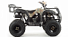 Квадроцикл MOTOLAND (МОТОЛЕНД) 200 ALL ROAD в Тольятти