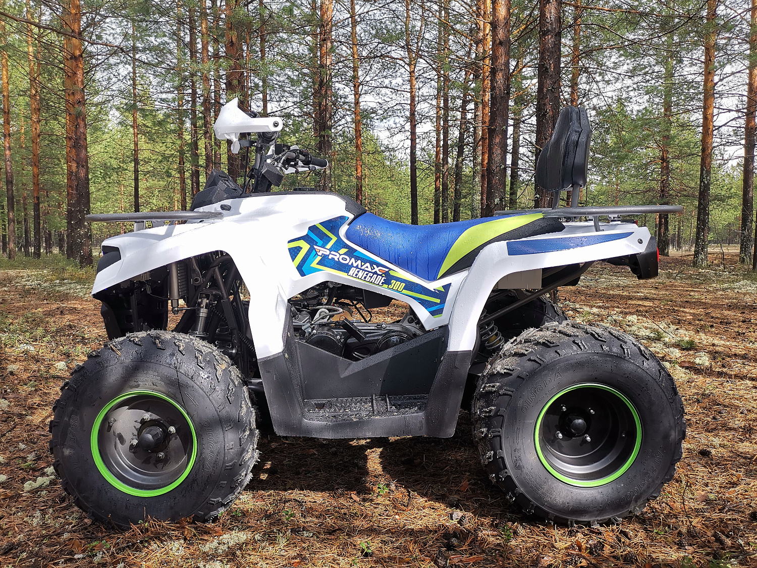 Квадроцикл PROMAX RENEGADE 280 (2025) в Тольятти