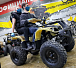 Квадроцикл PROMAX ATV 250 (2025) в Тольятти