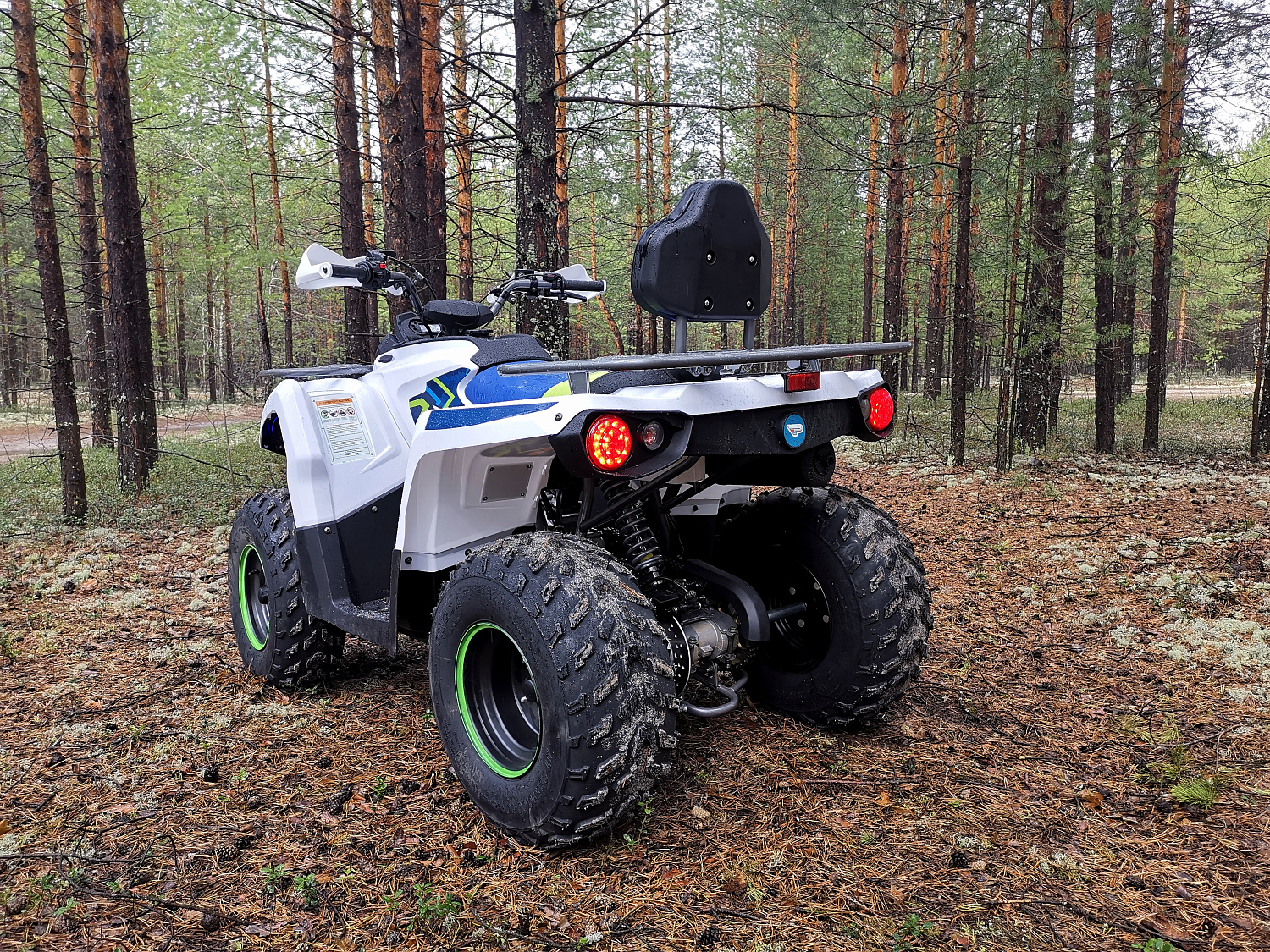 Квадроцикл PROMAX RENEGADE 280 (2025) в Тольятти
