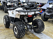 Квадроцикл PROMAX WILD 2.0 190 LUX в Тольятти