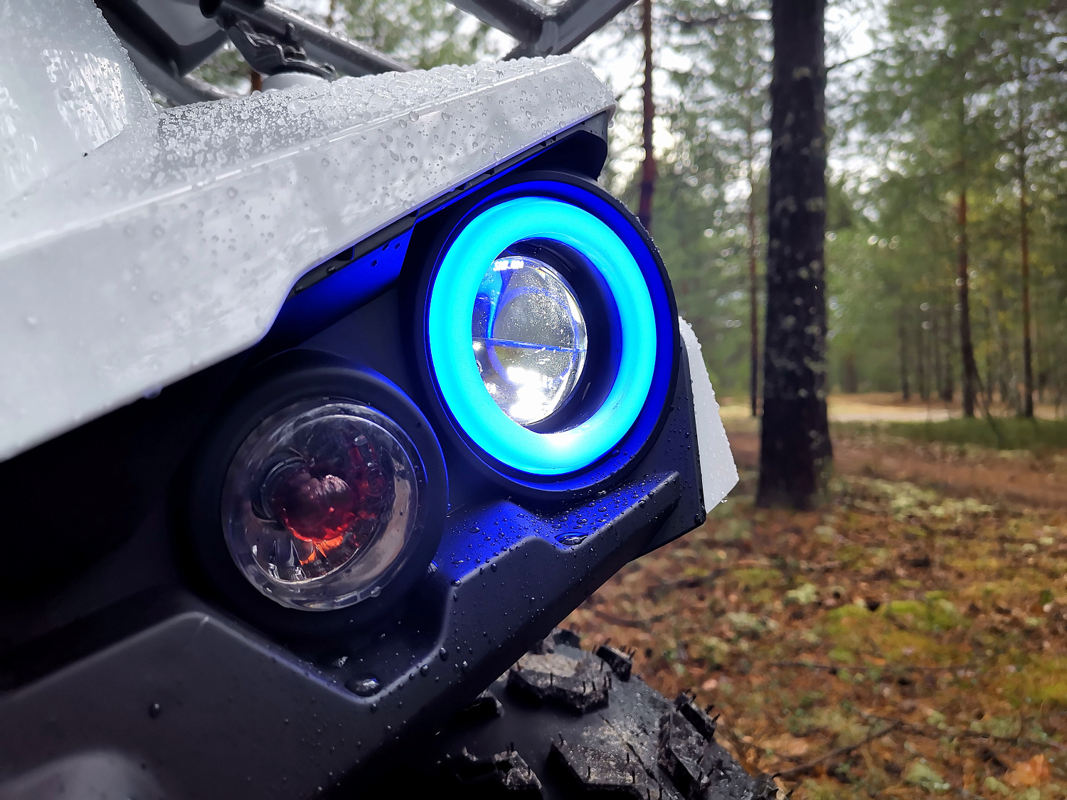 Квадроцикл PROMAX RENEGADE 280 (2025) в Тольятти