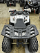 Квадроцикл PROMAX WILD 2.0 190 в Тольятти