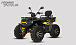 Квадроцикл PROMAX TAURUS 300 MAX-PRO LONG в Тольятти